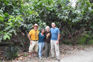 غواياكيل: تجربة رائعة في مزرعة الكاكاو وجولة في المدينة