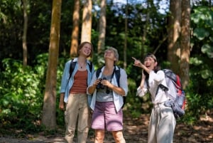 Guayaquil: ¡un tour de medio día en coche que te va a encantar!