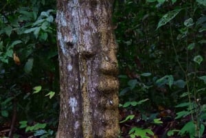 Guayaquil: Fantastisk heldagstur til Churute-mangrovereservatet