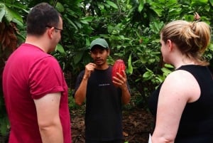 Guayaquil: Fantastisk heldagstur til Churute-mangrovereservatet