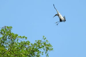 Guayaquil: Fantastisk heldagstur til Churute-mangrovereservatet