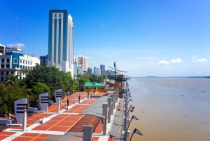 Guayaquil: tour gastronomico guidato della città con degustazioni