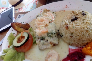 غواياكيل: جولة شخصية في المدينة مع مرشد