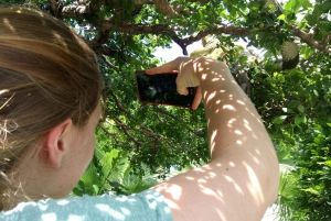 غواياكيل: جولة شخصية في المدينة مع مرشد