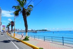 Guayaquil: Giornata personalizzata alla scoperta della costa e della spiaggia