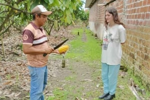 Guayaquil: Short visit Chocolate making and cacao farm.