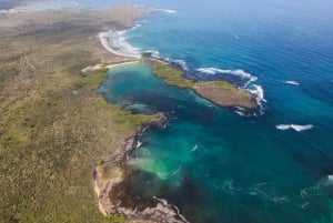 Half Day Adventure in the Bay of Santa Cruz from Puerto Ayora