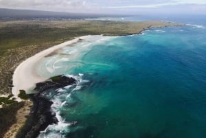 Half Day Adventure in the Bay of Santa Cruz from Puerto Ayora