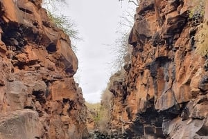 مغامرة لنصف يوم في خليج سانتا كروز من بويرتو أيورا