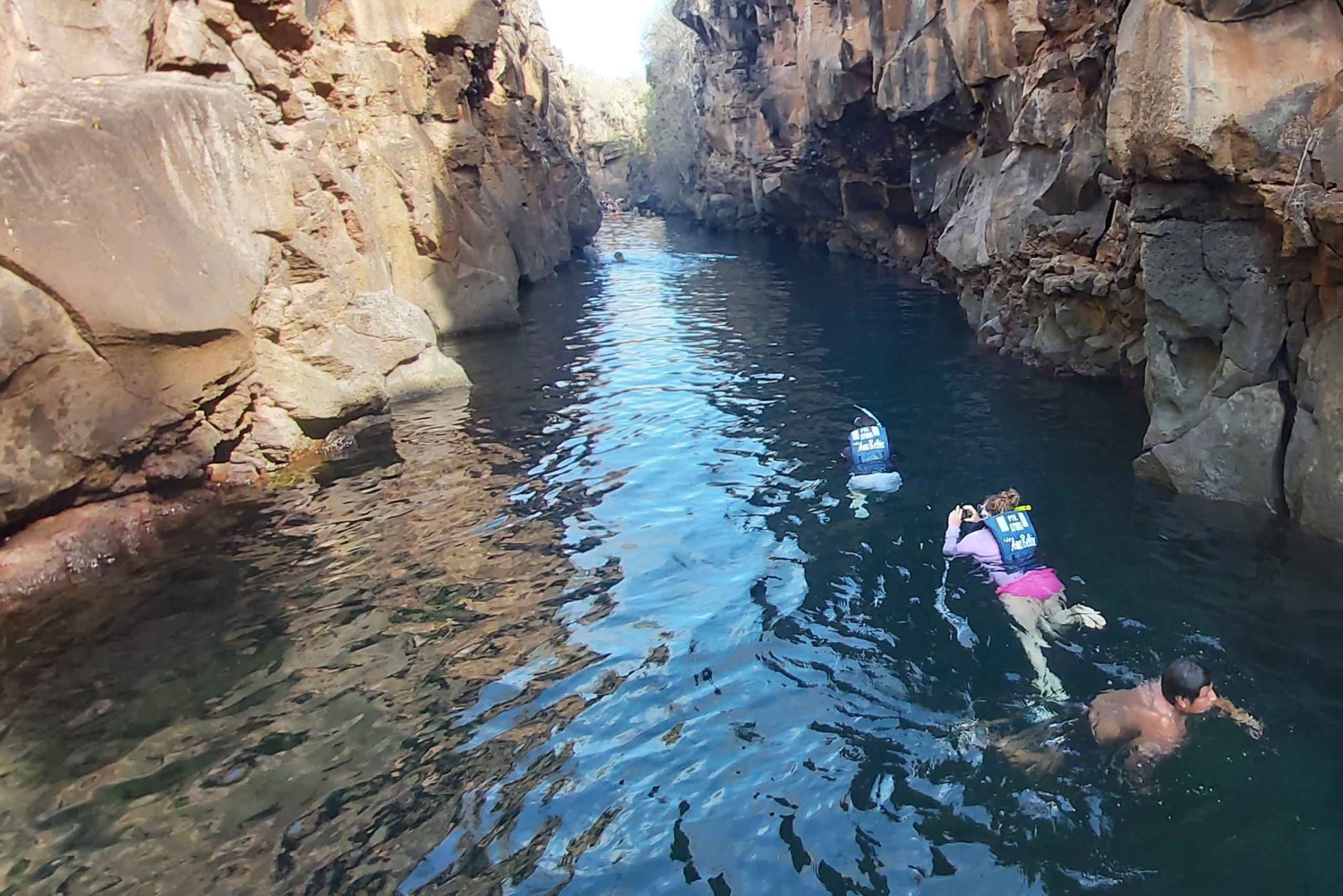 Visite d'une demi-journée dans la baie de l'île de Santa Cruz