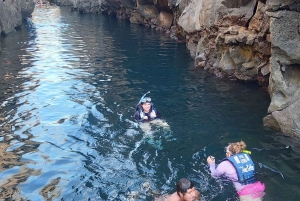 Visite d'une demi-journée dans la baie de l'île de Santa Cruz