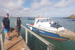 Visite d'une demi-journée dans la baie de l'île de Santa Cruz