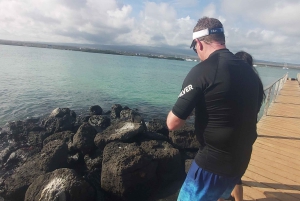 Visite d'une demi-journée dans la baie de l'île de Santa Cruz