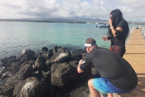 Visite d'une demi-journée dans la baie de l'île de Santa Cruz