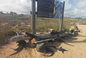 Visite d'une demi-journée dans la baie de l'île de Santa Cruz