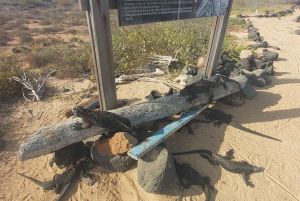 Visite d'une demi-journée dans la baie de l'île de Santa Cruz