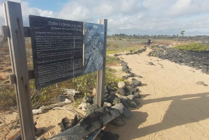 Visite d'une demi-journée dans la baie de l'île de Santa Cruz