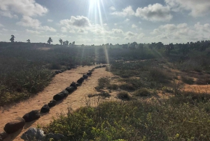 Visite d'une demi-journée dans la baie de l'île de Santa Cruz