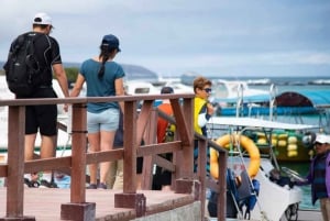 Excursão de meio dia a Tintoreras saindo da Ilha Isabela