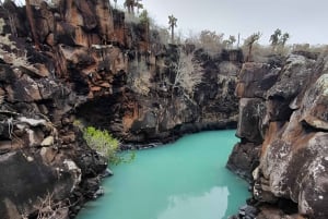 TOUR DI MEZZA GIORNATA - BAIA DI SANTA CRUZ - 5 INCREDIBILI SITI DA VISITARE