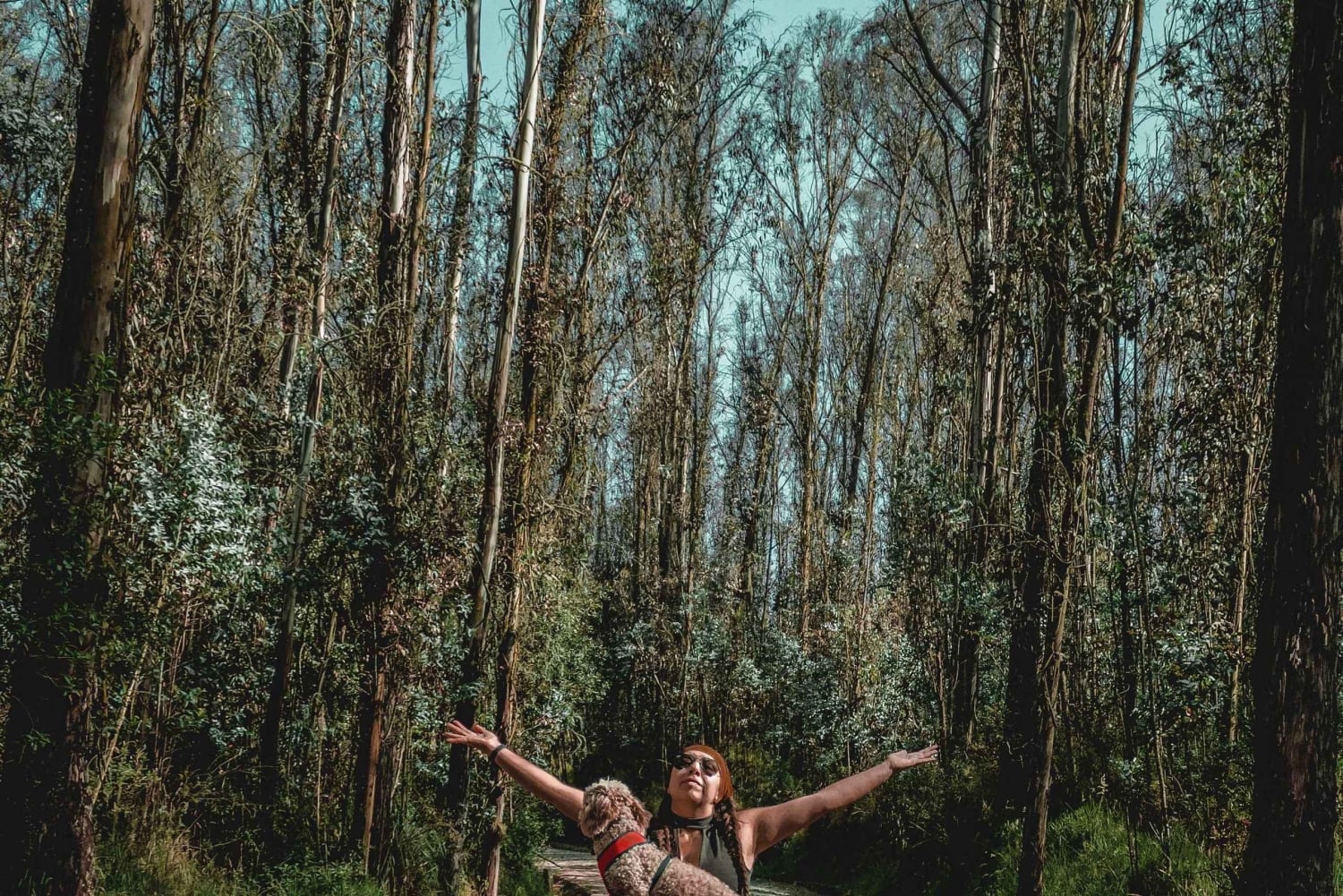 Caminata en el parque Guangüiltagua