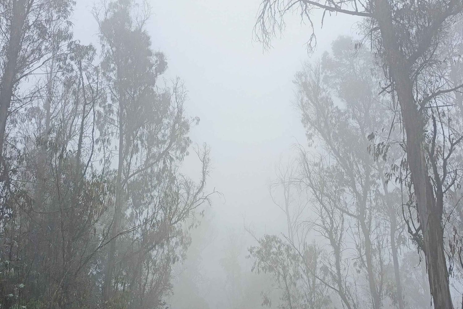 Caminata en el parque Guangüiltagua