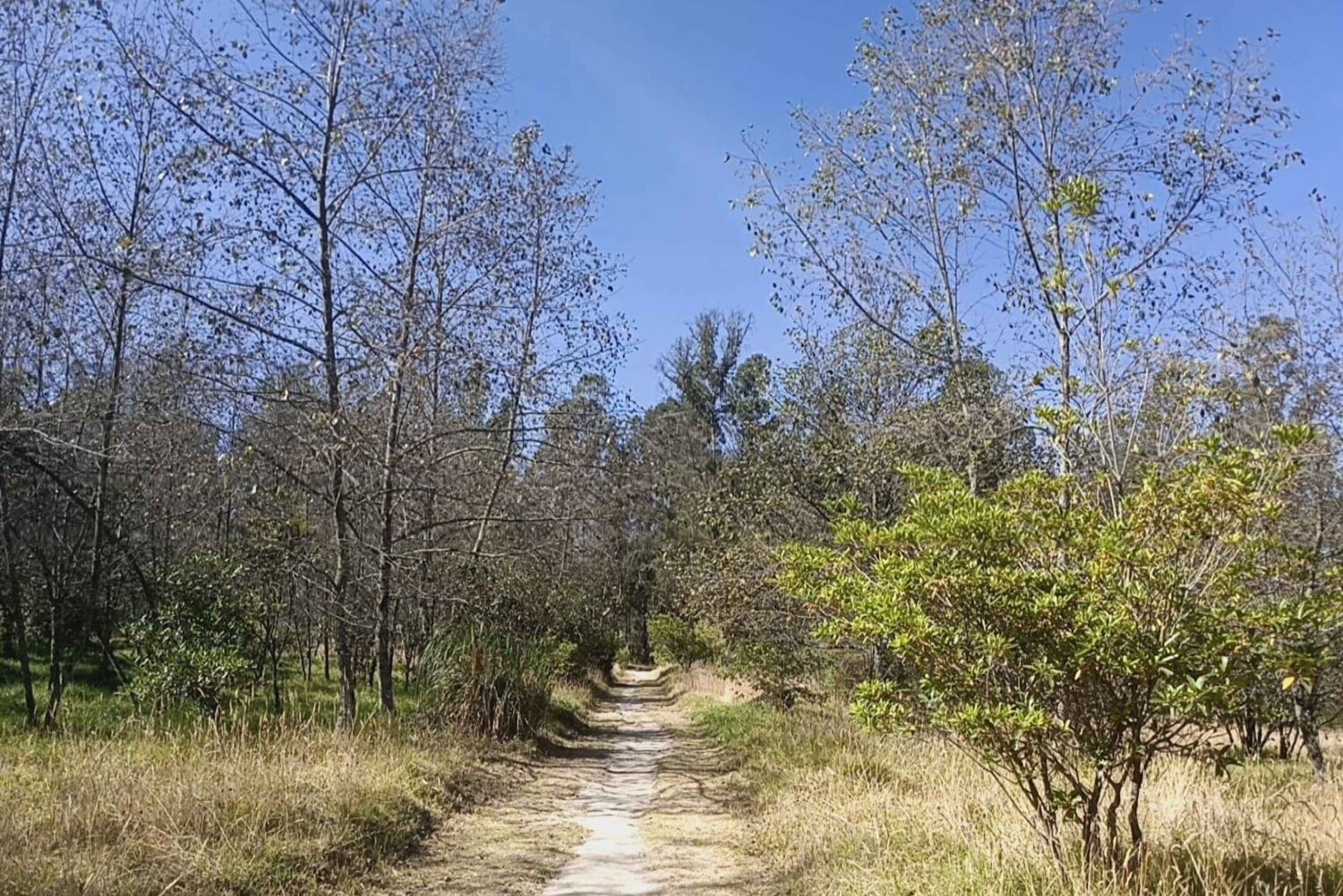 Caminata en el parque Guangüiltagua