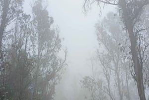 Caminata en el parque Guangüiltagua