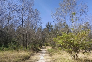Caminata en el parque Guangüiltagua