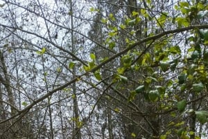 Caminata en el parque Guangüiltagua