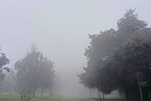 Caminata en el parque Guangüiltagua