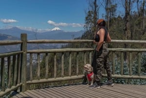 Caminata en el parque Guangüiltagua