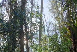 Caminata en el parque Guangüiltagua