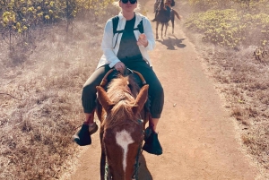 Senderismo por el volcán Sierra Negra - Campos de lava del volcán Chico