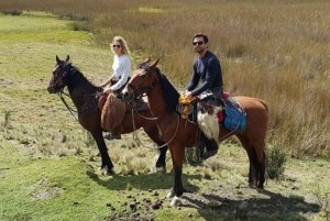 Quito: Cotopaxi National Park Horseback Riding with Lunch