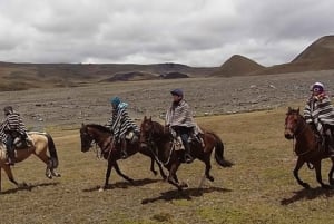Quito: Ridning i nationalparken Cotopaxi med lunch