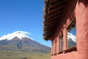 Passeios a cavalo em Cotopaxi com tudo incluído