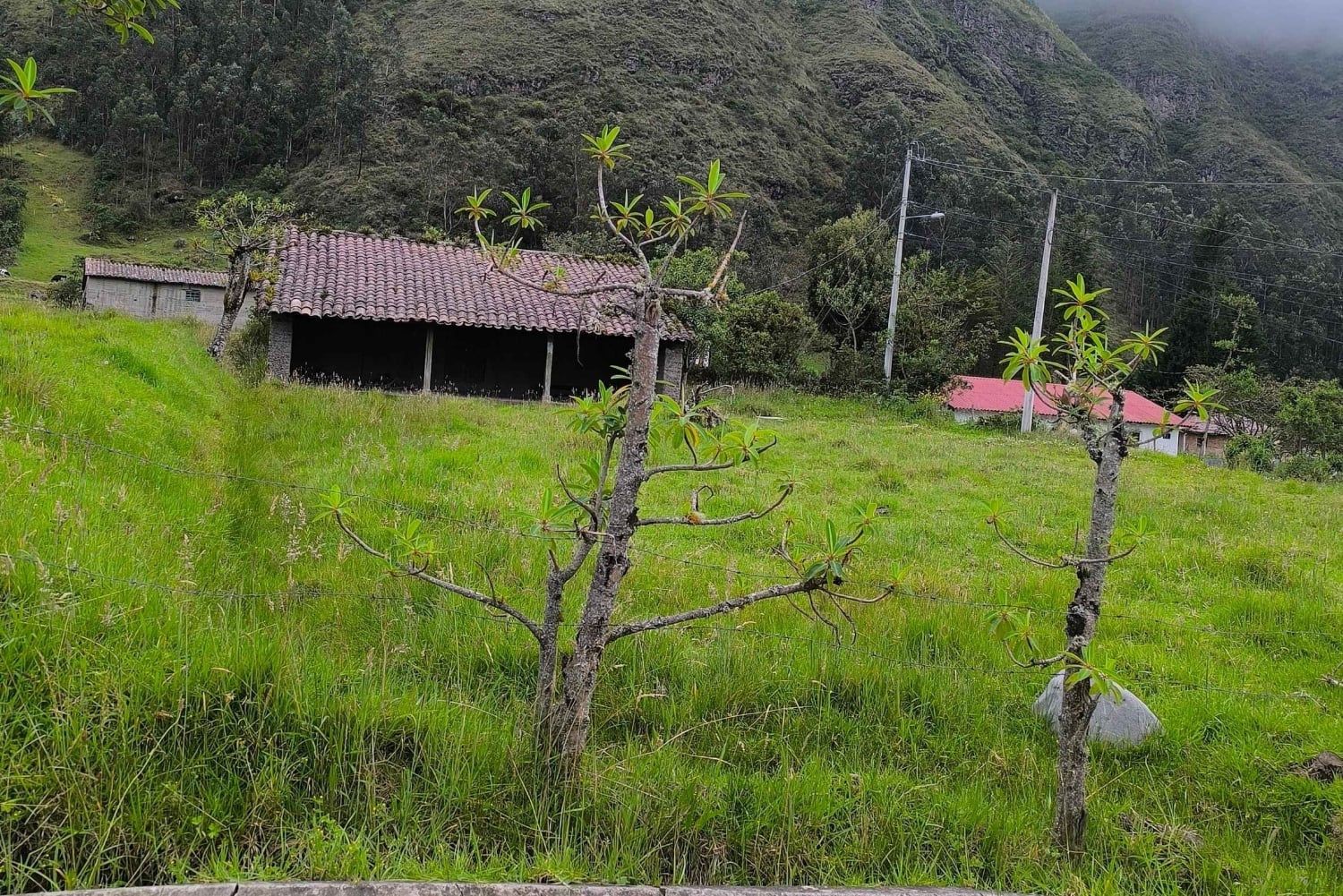 イバラ：ラ・エスペランサとスレタへの1日ツアーをご案内いたします