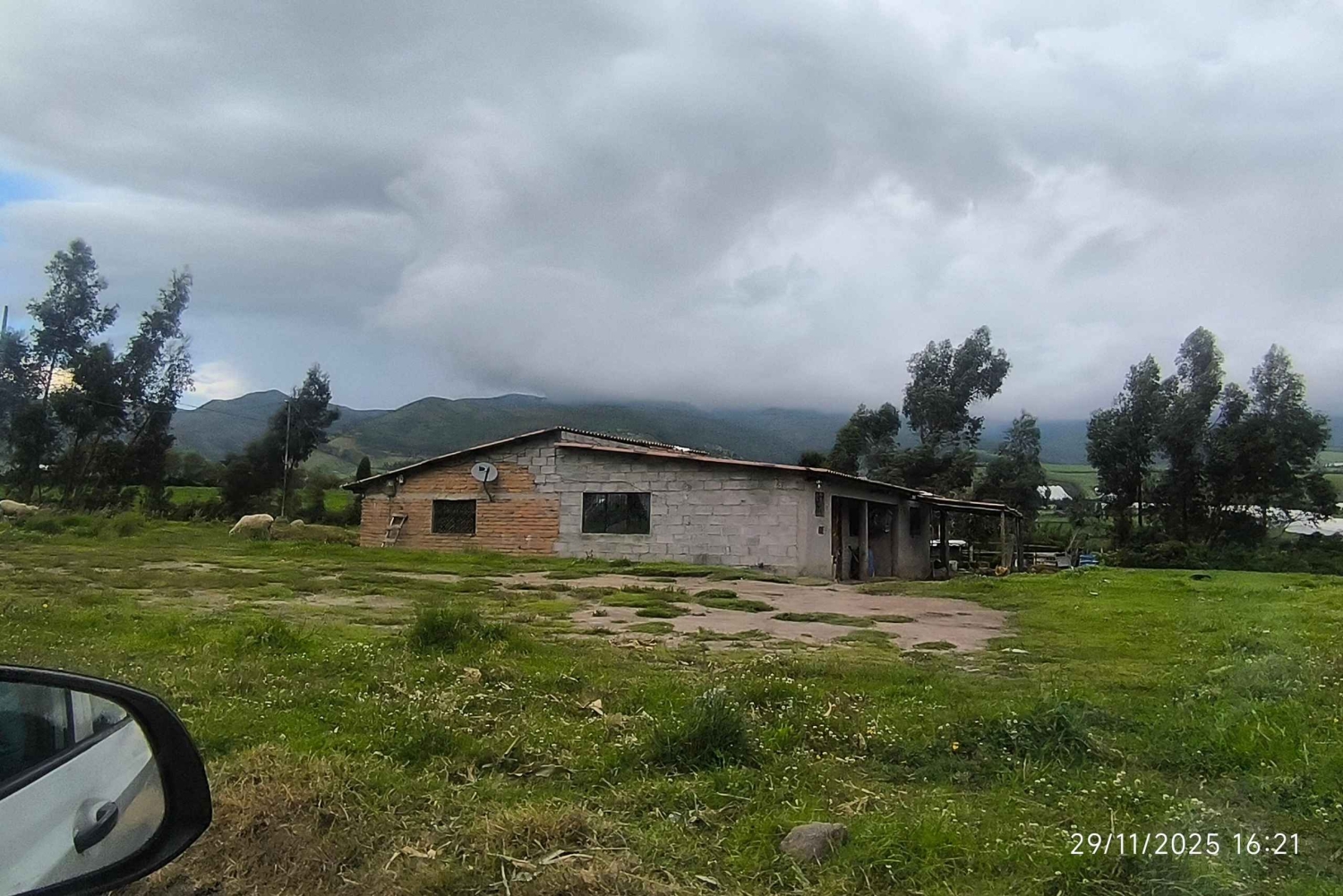 イバラ：ラ・エスペランサとスレタへの1日ツアーをご案内いたします