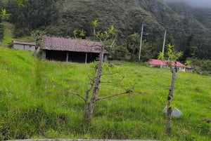 イバラ：ラ・エスペランサとスレタへの1日ツアーをご案内いたします