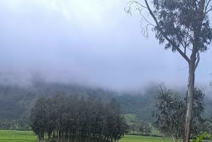 イバラ：ラ・エスペランサとスレタへの1日ツアーをご案内いたします