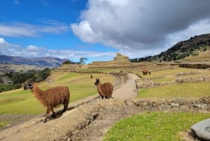 Ingapirca Ruins and Inca Face Small Group Tour from Cuenca.