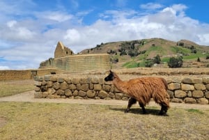 Ingapirca Ruins and Inca Face Small Group Tour from Cuenca.