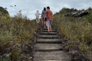 جزيرة إيزابيلا: كامبو دورو، كهوف سوكري وجولة في الإطلالة