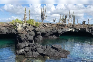 イサベラ島：カボ・ロサ・トンネルでのスノーケリング