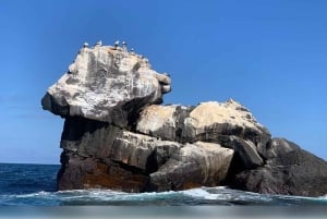 イサベラ島：カボ・ロサ・トンネルでのスノーケリング