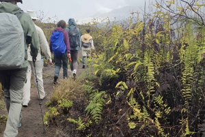 MERVEILLES DE L'ILE ISABELA : MINE DE SOUFRE + AGRO TOUR EXPERIENCE