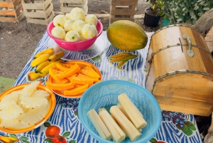 عجائب جزيرة إيزابيلا: تجربة منجم الكبريت + جولة سياحية زراعية