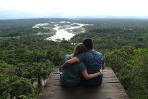 Olá Vida, passeio de um dia inteiro na Amazónia