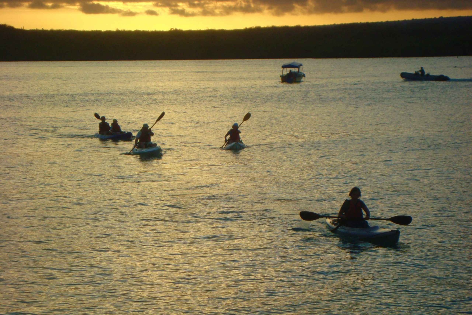 Kayak en la Bahía de la Academia